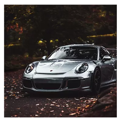 Фото на холсте porsche, размера 100x100