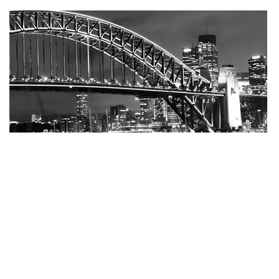 Фото на холсте мост ч/б, размера 80x40