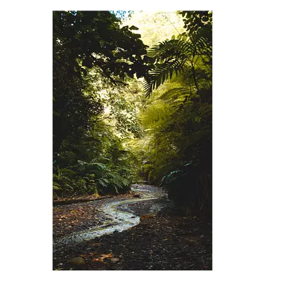 Фото на холсте тропический ручей, размера 20x30