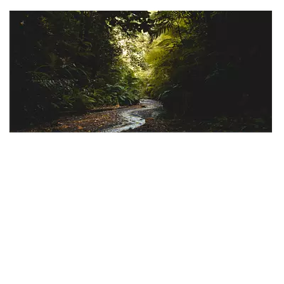 Фото на холсте тропический ручей, размера 60x30