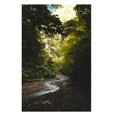 Фото на холсте тропический ручей, размера 50x75