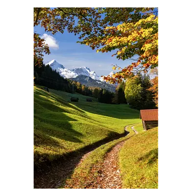 Фото на холсте дорога в зеленом лесу, размера 70x100