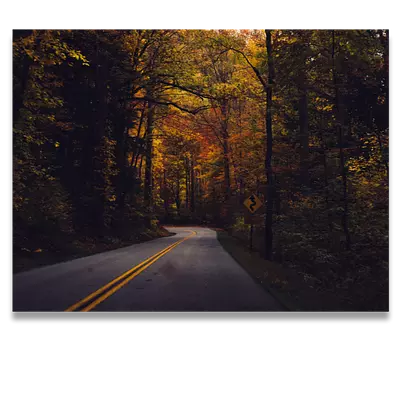 Фото на холсте дорога в лесу, размера 80x60