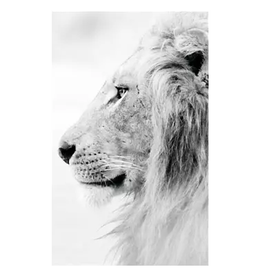 Фото на холсте лев в светлых тонах, размера 20x30