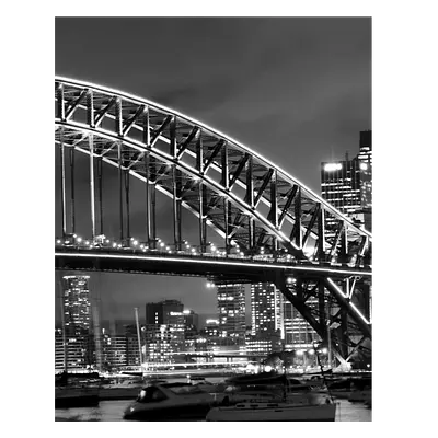 Фото на холсте мост ч/б, размера 40x50