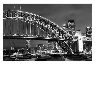 Фото на холсте мост ч/б, размера 75x50