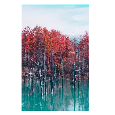 Фото на холсте деревья в воде, размера 30x45