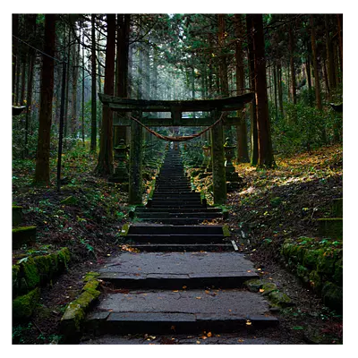 Фото на холсте лестница в лесу, размера 80x80