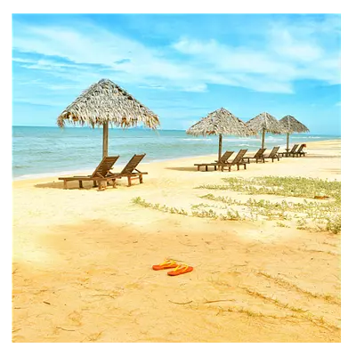 Фото на холсте песчаный пляж, размера 80x80