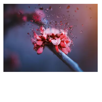 Фото на холсте абстрактный цветок, 40 x 30 см, длина до 220 см.