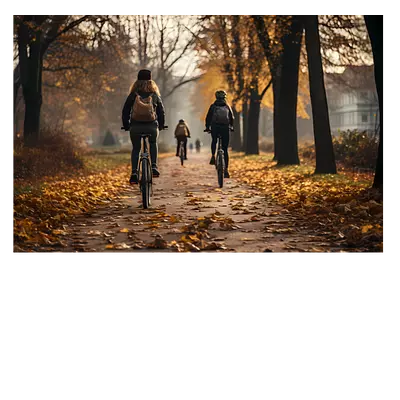 Фото на холсте велосипедисты в лесу, размера 60x40