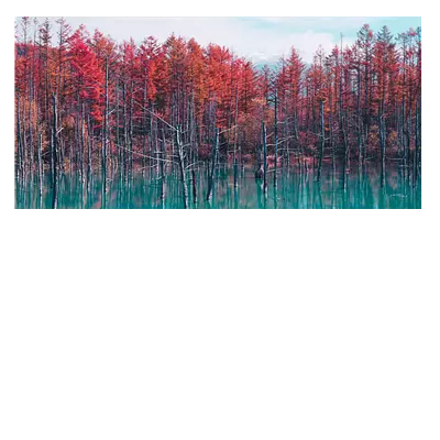 Фото на холсте деревья в воде, размера 80x40