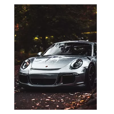 Фото на холсте porsche, размера 40x50