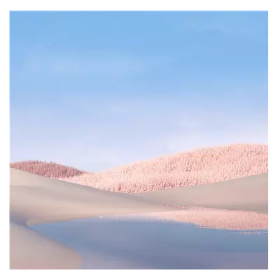 Фото на холсте белые поля, размера 100x100