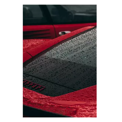 Фото на холсте красный феррари под дождем, размера 80x120