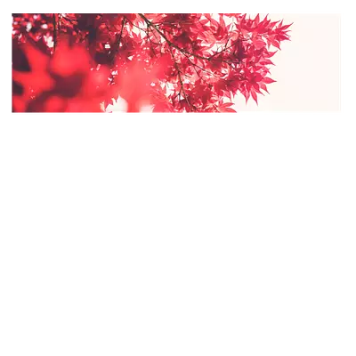 Фото на холсте красные листья, размера 90x30