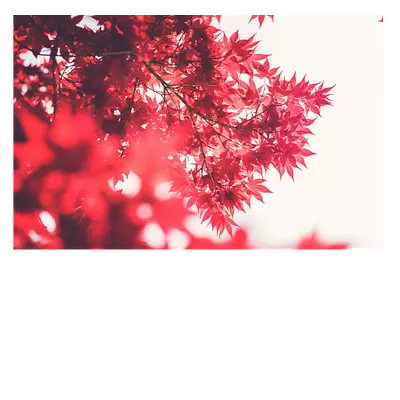 До 220 символов.  
закажите печать фото на холсте и создайте оригинальный подарок для близ