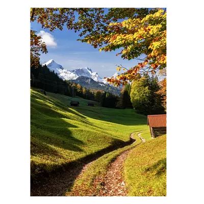 Фото на холсте дорога в зеленом лесу, размера 30x40