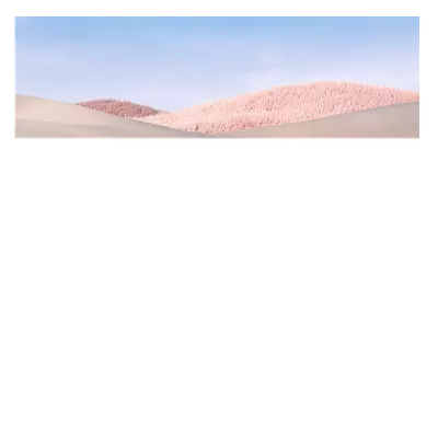 Фото на холсте белые поля, размера 90x30