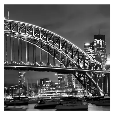 Фото на холсте мост ч/б, размера 80x80