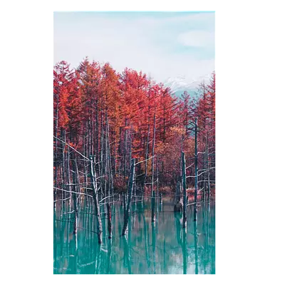 Фото на холсте деревья в воде, размера 20x30