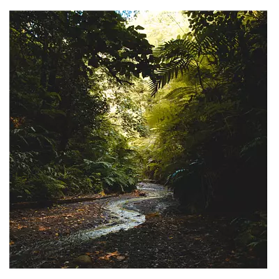 Фото на холсте тропический ручей, размера 30x30