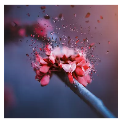 Фото на холсте абстрактный цветок, размера 100x100