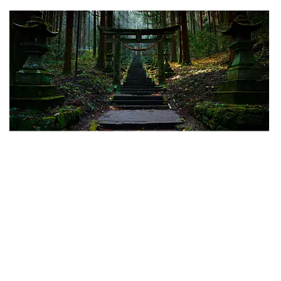 Фото на холсте лестница в лесу, размера 60x30