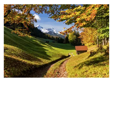 Фото на холсте дорога в зеленом лесу, размера 70x50