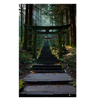 Фото на холсте лестница в лесу, размера 20x30