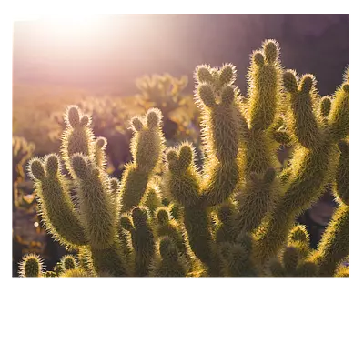 Наслаждайтесь яркими моментами жизни на холсте!