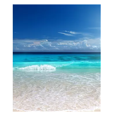 Фото на холсте солнечный пляж, размера 50x60