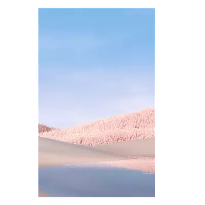 Фото на холсте белые поля, размера 20x30