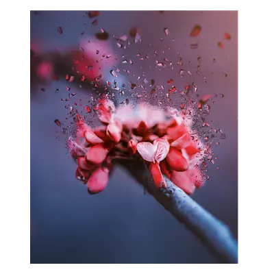 Фото на холсте абстрактный цветок, размера 50x60