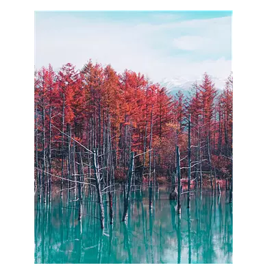 Фото на холсте деревья в воде, размера 40x50