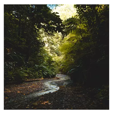 Фото на холсте тропический ручей, размера 40x40