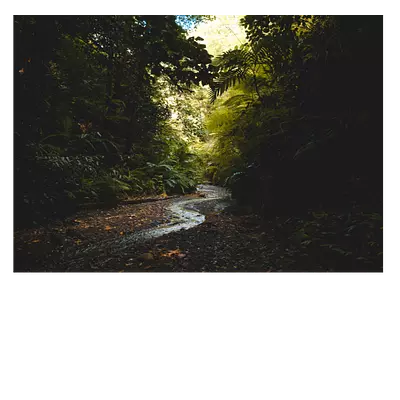 Фото на холсте тропический ручей, размера 70x50