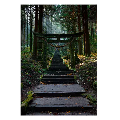 Фото на холсте лестница в лесу, размера 70x100