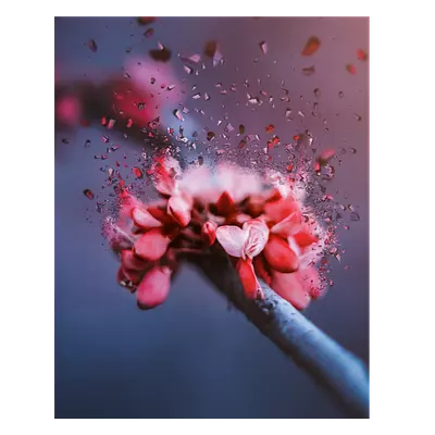 Фото на холсте абстрактный цветок, размера 40x50