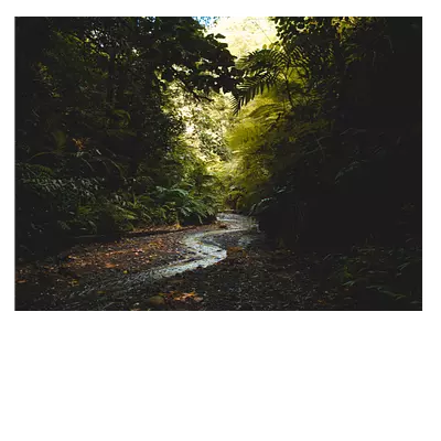 Фото на холсте тропический ручей, 40х30 см, до 220 см в длину