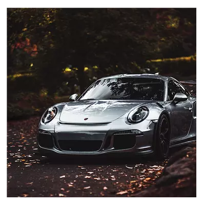 Фото на холсте porsche, размера 80x80