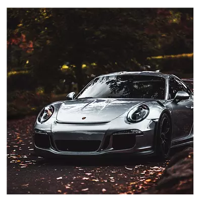 Фото на холсте porsche, размера 40x40