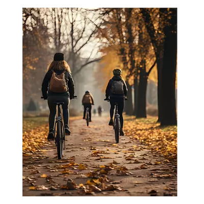 Фото на холсте велосипедисты в лесу, размера 50x60