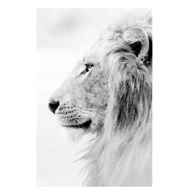 Фото на холсте лев в светлых тонах, размера 50x75