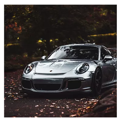 Фото на холсте porsche, размера 60x60