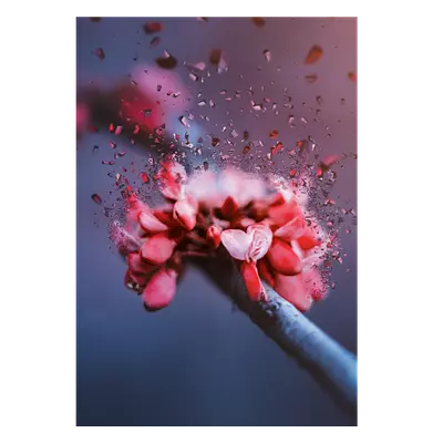 Фото на холсте абстрактный цветок, размера 70x100