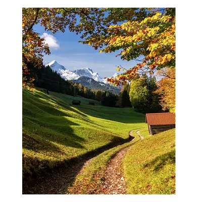 Фото на холсте дорога в зеленом лесу, размера 50x60