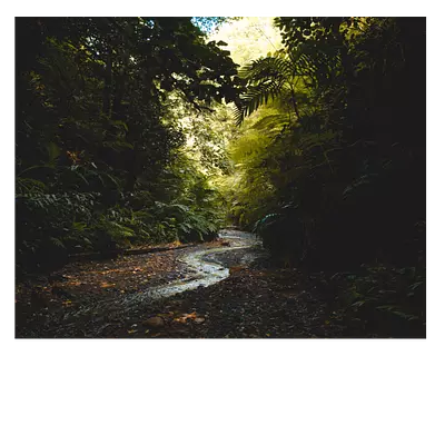 Фото на холсте тропический ручей, размер 50х40 см.