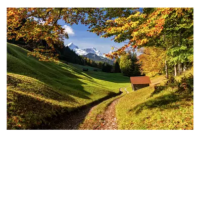 Фото на холсте дорога в зеленом лесу, размера 120x80