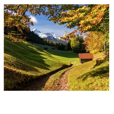 Фото на холсте дорога в зеленом лесу, размера 60x50